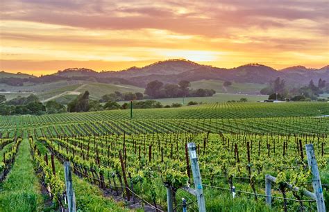 Wine tasting napa - Oct 24, 2023 ... Decide how many wineries and vineyards you want to visit each day. Keep in mind that tastings can take anywhere from 30 minutes to an hour or ...